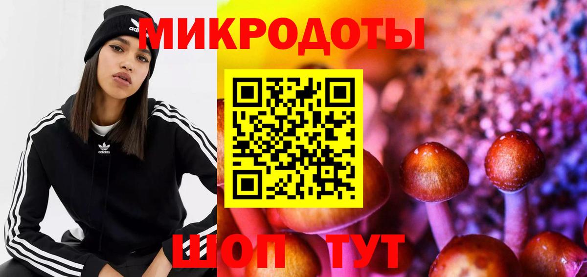 Псилоцибиновые грибы Psilocybe Урюпинск